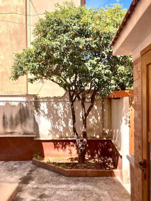 Villa Orlando Mondello Palermo Eksteriør bilde